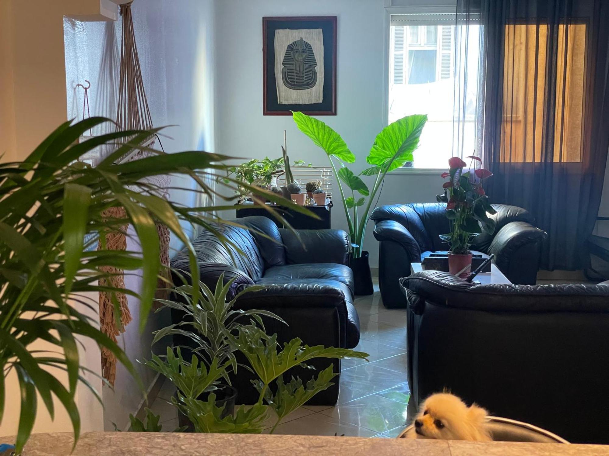 Private Room 卡萨布兰卡 外观 照片
